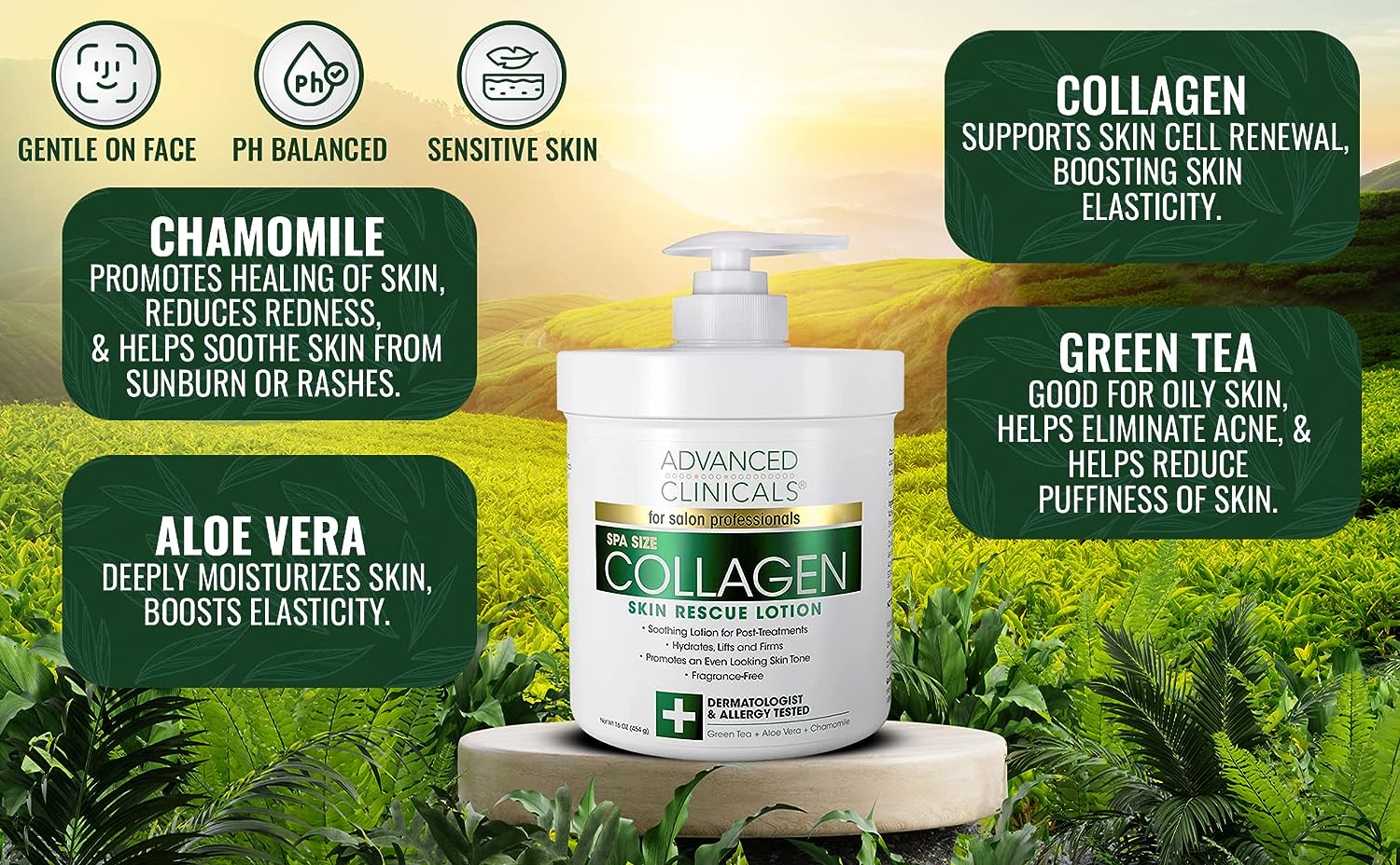 Advanced Clinicals Collagen Cream + Hyaluronic Acid Lotion Moisturizer Face &amp; Body Skin Care Set. Collagen Lotion Restores Sagging Skin &amp; Hyaluronic Acid Anti Aging Cream Hydrates Dry Skin, 2-Pack