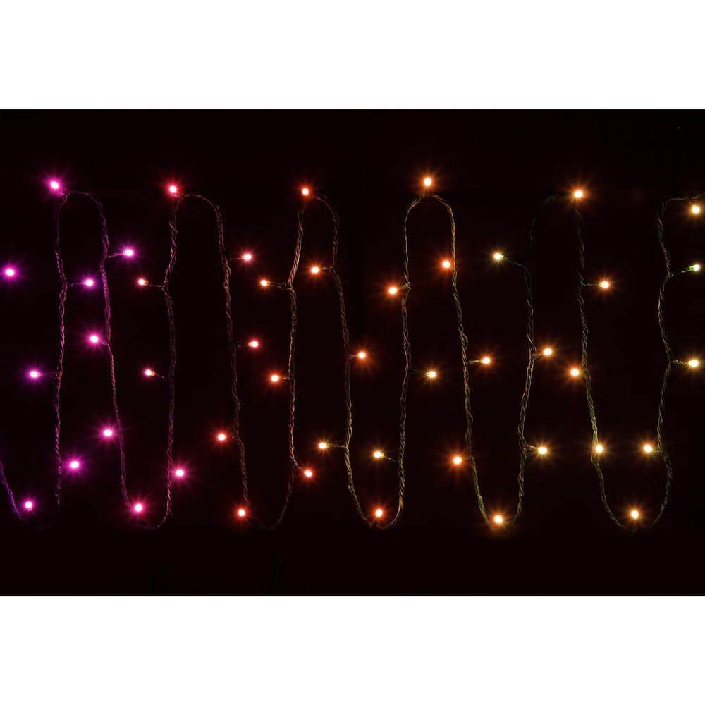 Twinkly App Controlled Wrapped Dome Lights, 50, Multi Color (2 Pack)